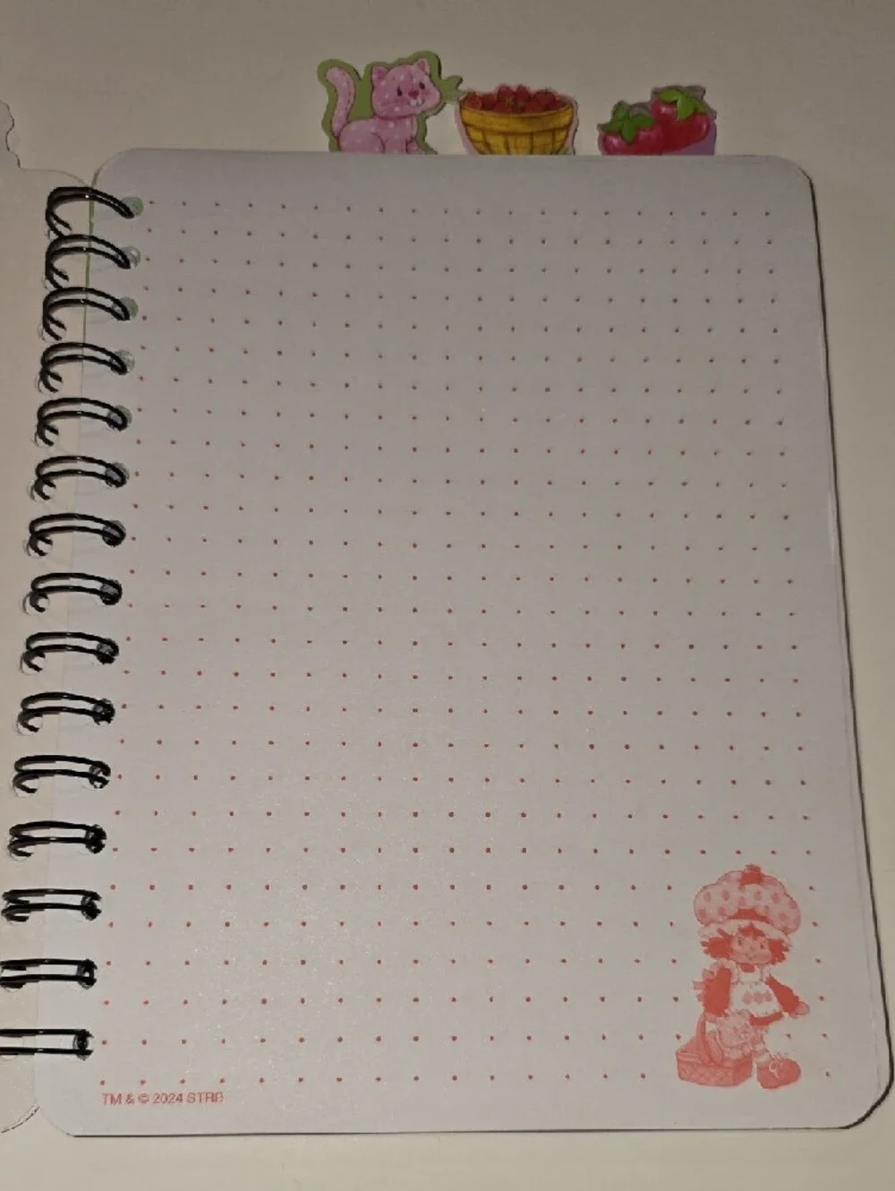 Strawberry Shortcake Spiral Notebook